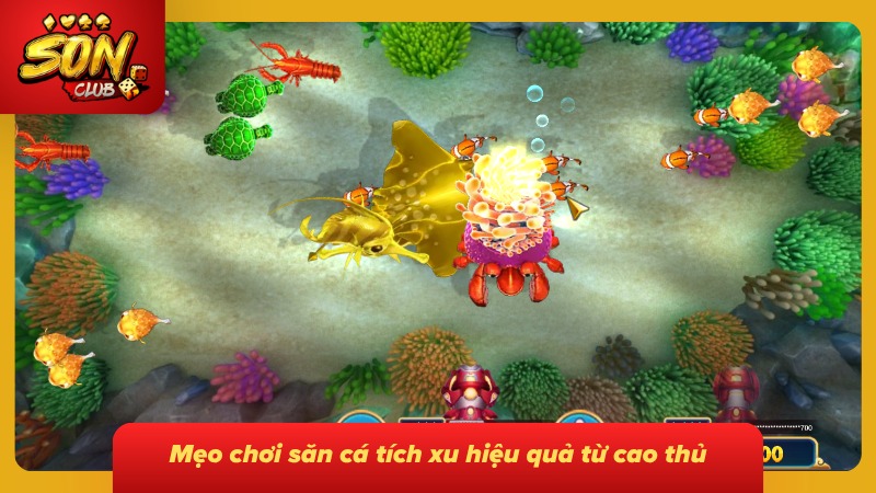 Bắn Cá Ăn Xu: Trải Nghiệm Săn Thưởng Đại Dương Đỉnh Cao 5 Mẹo tăng xu cực kỳ dễ cùng bet lão làng