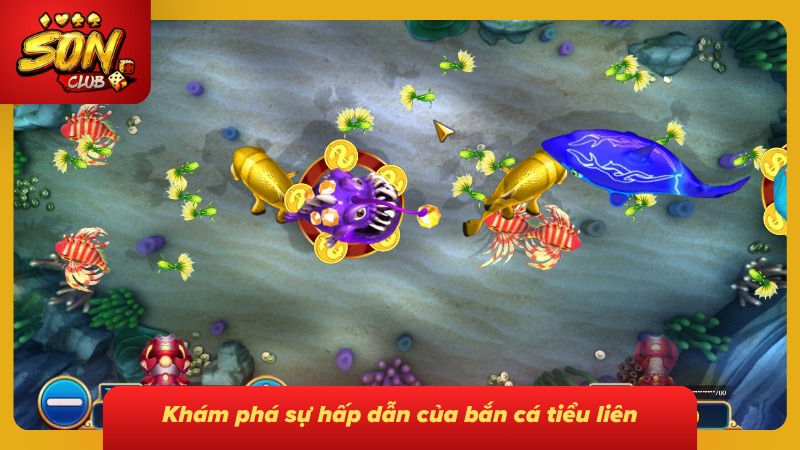 Cẩm Nang Chơi Bắn Cá Tiểu Tiên Trúng Thưởng Lớn 1 Khám phá không gian giải trí siêu chân thực