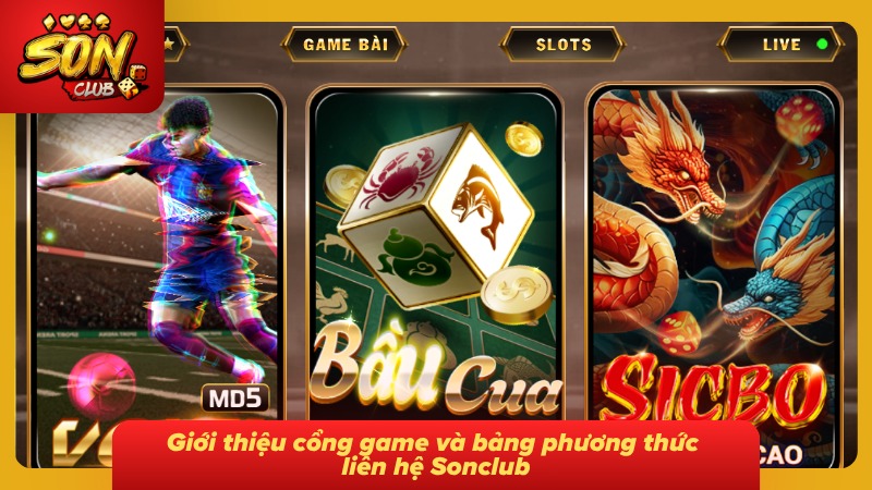 Liên hệ Sonclub 1 Bảng tổng hợp thông tin liên hệ cùng các kênh hỗ trợ hiện có tại cổng game