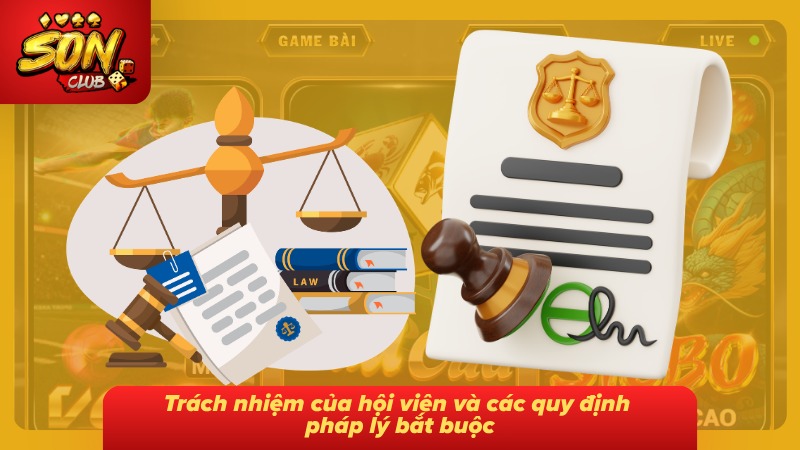 Trách nhiệm hội viên cùng những quy định pháp lý cần tuân thủ